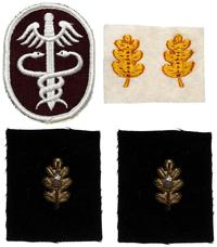 odznaki korpusu medycznego Sił Zbrojnych Stanów 