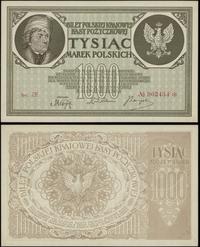 1.000 marek polskich 17.05.1919, Ser. ZF., na st
