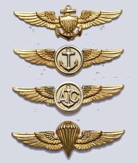 metalowe odznaki personelu lotniczego i odznaka 