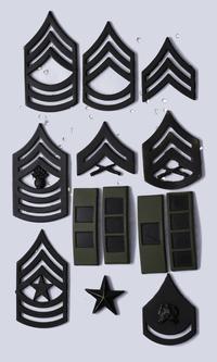 metalowe oznaki stopni wojskowych Sił Zbrojnych 