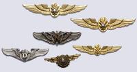 metalowe odznaki korpusu medycznego Sił Powietrz