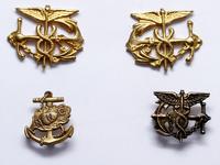 metalowe odznaki korpusu medycznego Marynarki St