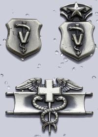srebrne odznaki korpusu medycznego Sił Zbrojnych