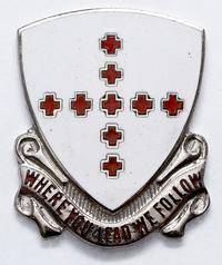 odznaka 9 Batalionu Medycznego, biały metal 28 x