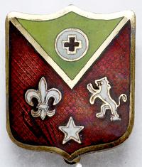 odznaka 102 Batalionu Medycznego Armii Stanów Zj