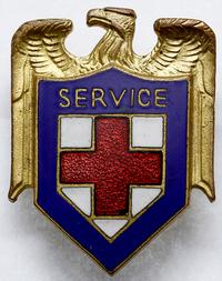 odznaka personelu medycznego Armii Stanów Zjedno