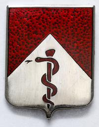 odznaka 47 Batalionu Medycznego Armii Stanów Zje