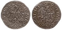 Polska, półgrosz, 1547