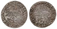 Polska, półgrosz, 1564