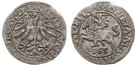 Polska, półgrosz, 1565