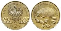 2 złote 1996, Warszawa, Jeż, nordic gold, wyśmie