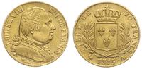 20 franków 1815 / A, Paryż, złoto 6.44 g, Fr. 52