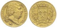 20 franków 1819 / A, Paryż, złoto 6.44 g, Fr. 53
