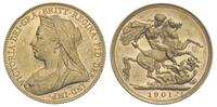 1 funt 1901/M, Melbourne, złoto 7.97 g, niewielk