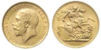 funt 1915, Londyn, złoto 7.99 g, Fr. 404