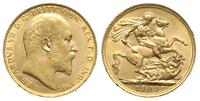funt 1909, Londyn, złoto 7.99 g, Fr. 400