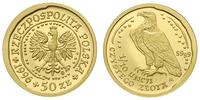 50 złotych 1996, Warszawa, Orzeł bielik, złoto 3