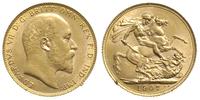 1 funt 1907, Londyn, złoto 7.99 g, Spink 3969
