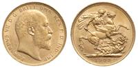 1 funt 1909/M, Melbourne, złoto 7.98 g, Spink 39