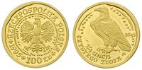 100 złotych 1995, Warszawa, Orzeł Bielik, złoto 