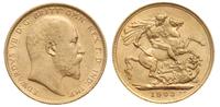 1 funt 1903/S, Sydney, złoto 7.99 g