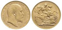 1 funt 1908/P, Perth, złoto 7.98 g