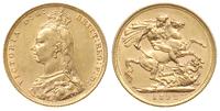 1 funt 1892/M, Melbourne, złoto 7.99 g, Spink 38