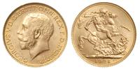 1 funt 1925, Londyn, złoto 7.99 g, Spink 3996