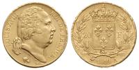 20 franków 1819/A, Paryż, złoto 6.39 g, Fr. 538,