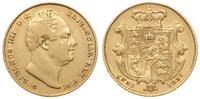 1 funt 1837, Londyn, złoto 7.91 g, Spink 3829B