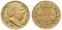 20 franków 1817 / A, Paryż, złoto 6.39 g