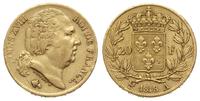 20 franków 1818/A, Paryż, złoto 6.44 g, Gadoury 