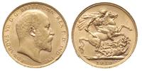 1 funt 1910, Londyn, złoto 7.98 g, Spink 3969