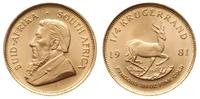 1/4 krugerranda 1981, złoto "916" 8.50 g, piękne