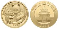 100 juanów 2005, misie koala, złoto 7.76 g, stem