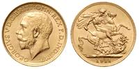 1 funt 1911, Londyn, złoto 7.99 g