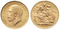 1 funt 1925/SA, Pretoria , złoto 7.99 g
