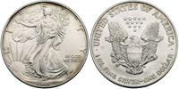 1 dolar 1995, srebro 31.15 g