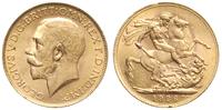 1 funt 1926 SA, Pretoria, złoto 7.99 g, piękne
