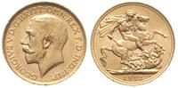 1 funt 1912, Londyn, złoto 7.98 g, piękne, Spink