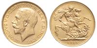 1 funt 1915/S, Sydney, złoto 7.98 g, piękne, Spi