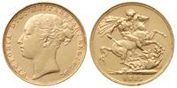 funt 1885, Londyn, złoto 7.97 g, Spink 3856B
