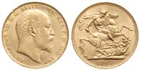 funt 1907, Londyn, złoto 7.97 g, Spink 3969