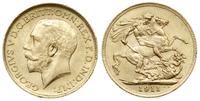 funt 1911, Londyn, złoto 7.96 g, piękny, Spink 3