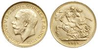 funt 1911/M, Melbourne, złoto 7.99 g, piękny, Sp