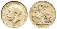 funt 1914/P, Perth, złoto 7.99 g, piękny, Spink 