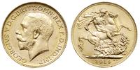 funt 1919/P, Perth, złoto 7.99 g, piękny, Spink 