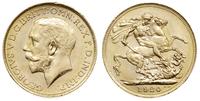 funt 1920/P, Perth, złoto 7.99 g, piękny, Spink 