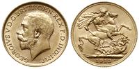 1 funt 1913, Londyn, złoto 7.99 g, piękne, Spink