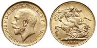 funt 1911, Londyn, złoto 7.99 g, piękny, Spink 3